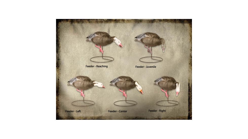 Final Approach FA Last Pass HD Blue Goose Full-Body (Feeders) 474196 w/ Free S&amp;H