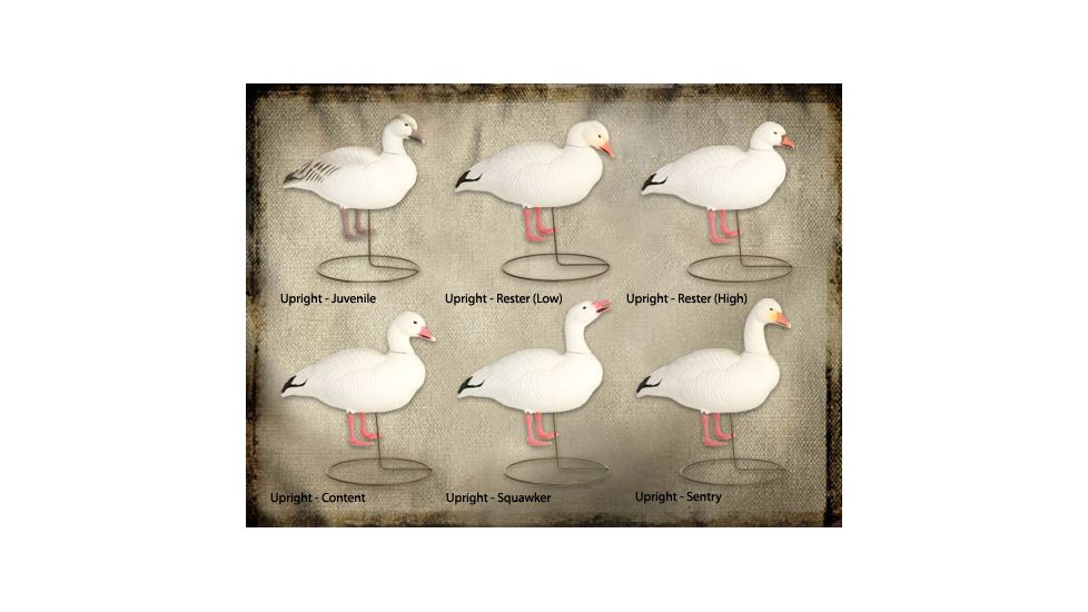 Final Approach FA Last Pass HD Snow Goose Full-Body (Uprights) 474190 w/ Free S&amp;H