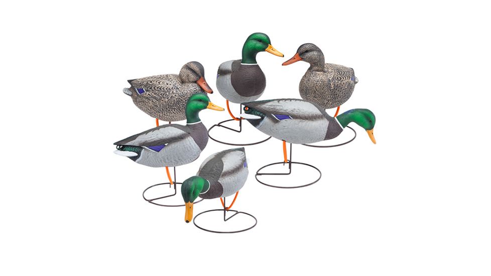 Final Approach Gunner HD Mallard, Full Body Field 6 Pack Starter Pack 474230FA