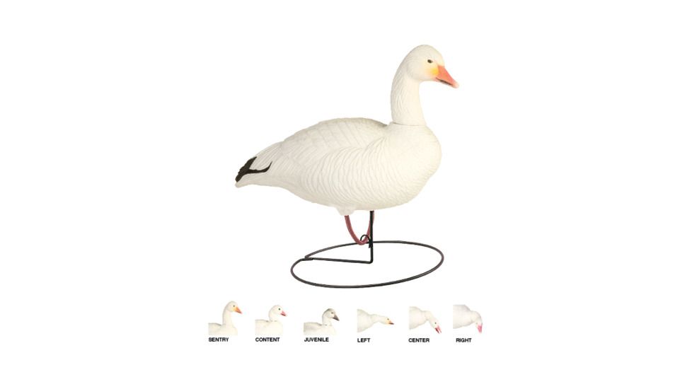 Final Approach Last Pass HD Snow Goose,Full Body Field Outfitters 6 Pack 474192