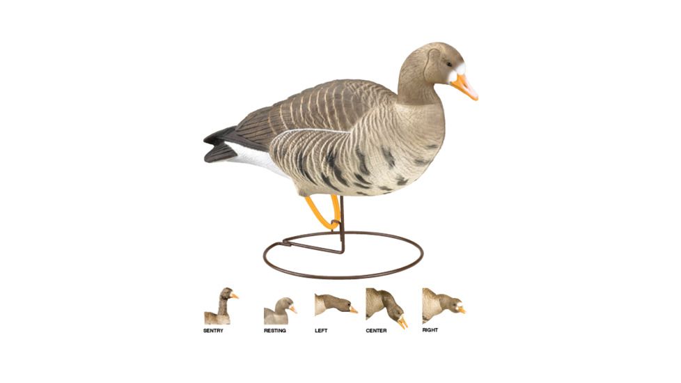 Final Approach Last Pass HD Speckle Belly,Full Body Field Outfitters 6 Pack 474183