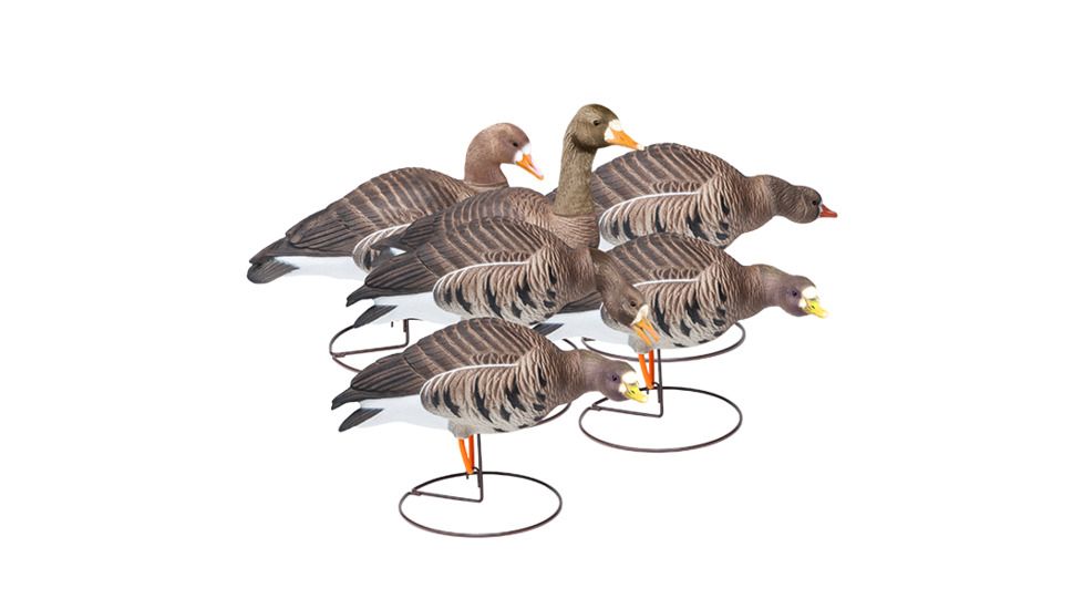 Final Approach Last Pass HD Speckle Belly, Outfitters 6 Pack 474183FA