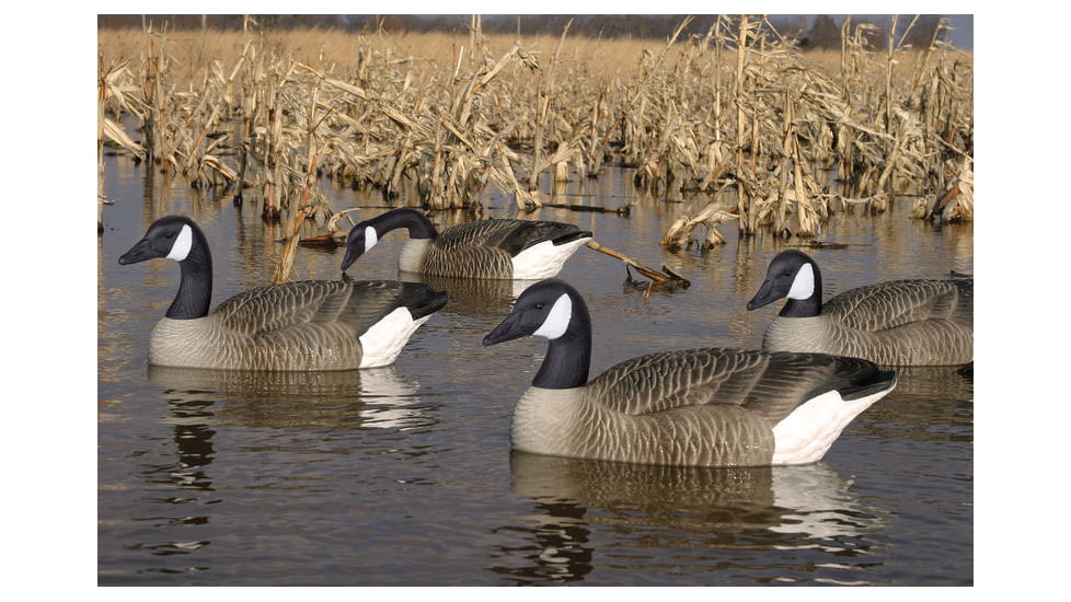 Flambeau Water Pack Canada Goose Decoy