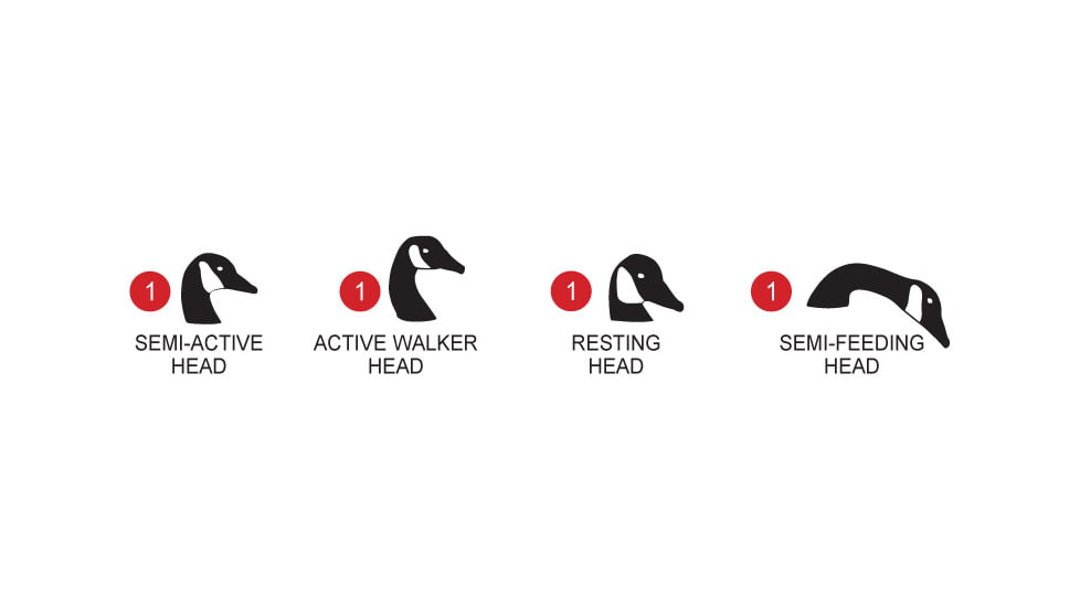 Flambeau Water Pack Canada Goose Decoy