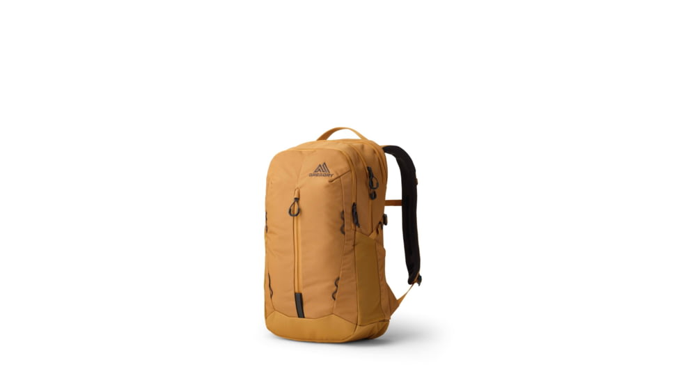 Gregory Terros 25L Backpack