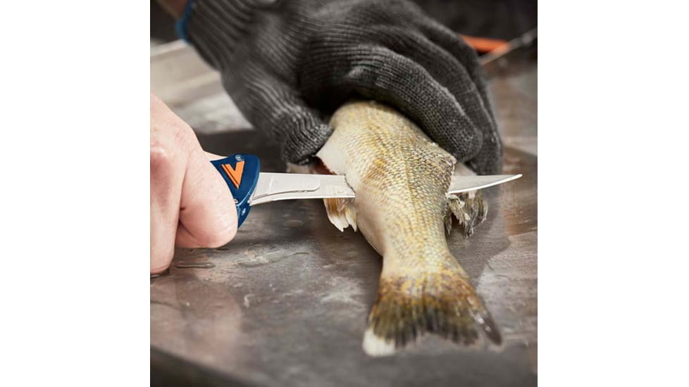 Havalon Talon Fish Interchangeable Fixed Blade Knife Set, 4 Blades, Roll-Pack, Box, Blue/Orange, XTI-TF