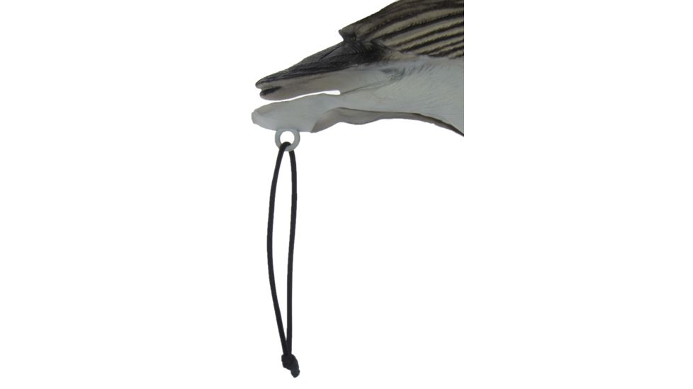 Mayhem Decoys by Heavy Hauler Outdoor Gear Specklebelly Goose Field Decoy, 1 dozen HH0134SPP