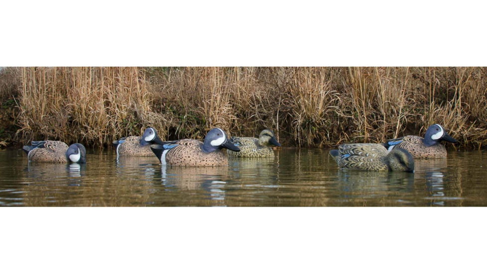 Higdon Outdoors 19953 Standard Blue Wing Teal Species Multi Color Foam Filled 6