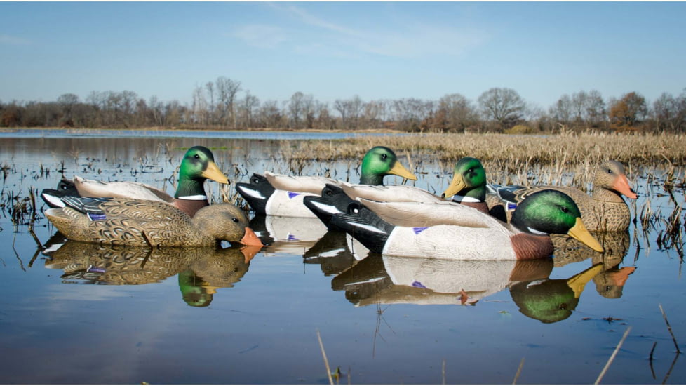 Higdon Outdoors Battleship Oversized Mallards Pack, Flocked Heads, 6 Pack, 16034