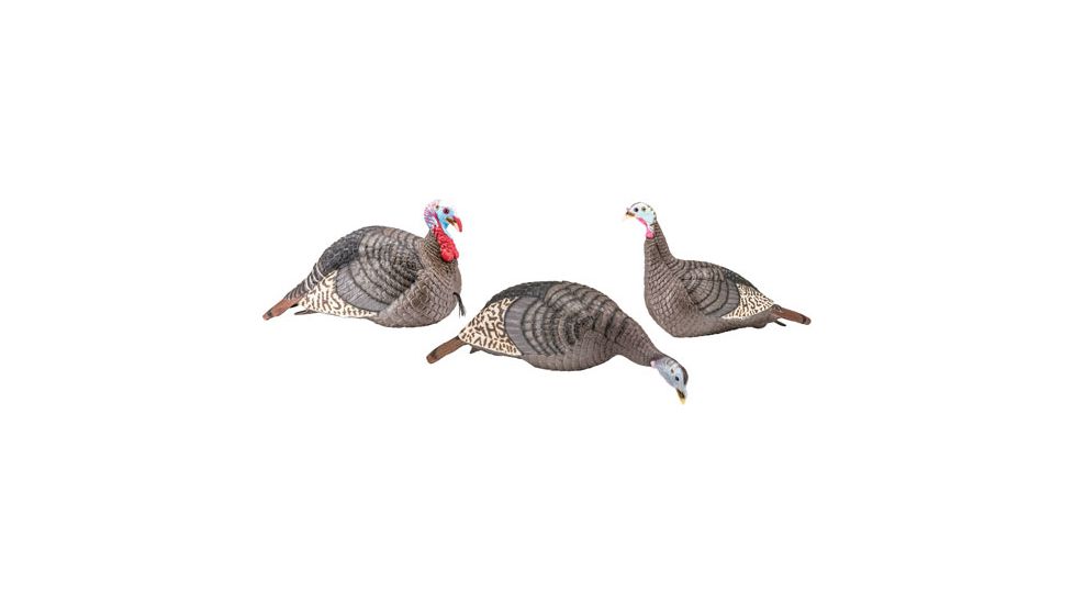 Hunters Specialties Hs Strut Turkey Decoy Flock Strut-lite Hen/jake/feeder Hen