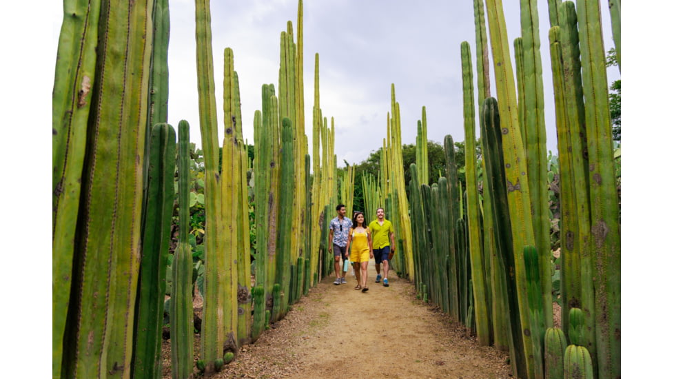 Hydro Flask 40 Oz Wide Flex Cap, Dew, 40 oz, W40BTS441