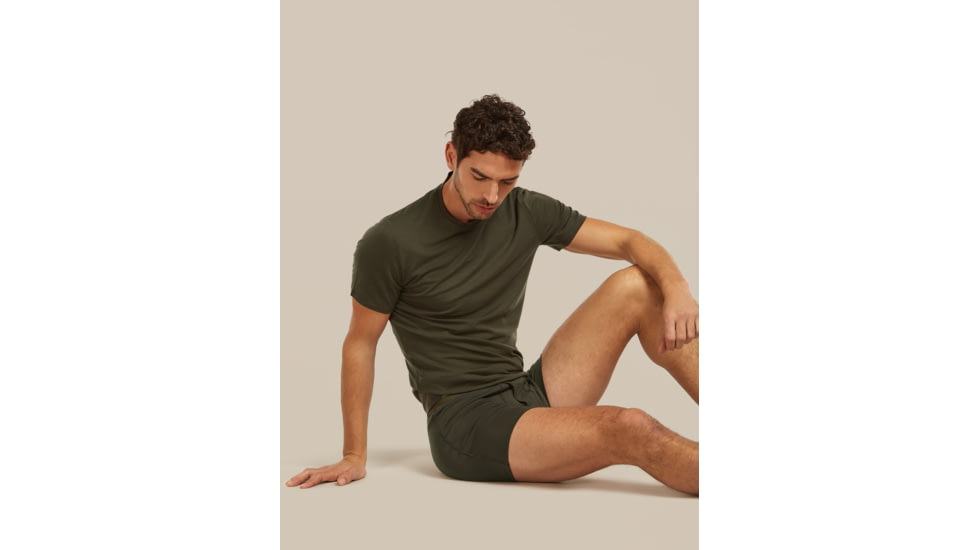 Icebreaker Merino 150 Anatomica Boxers w/ Fly - Mens
