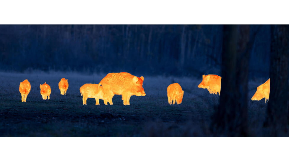 Leica Calonox Sight 1 x 42mm Thermal Imaging Rifle Scope, Tube 60mm, Black, 50500