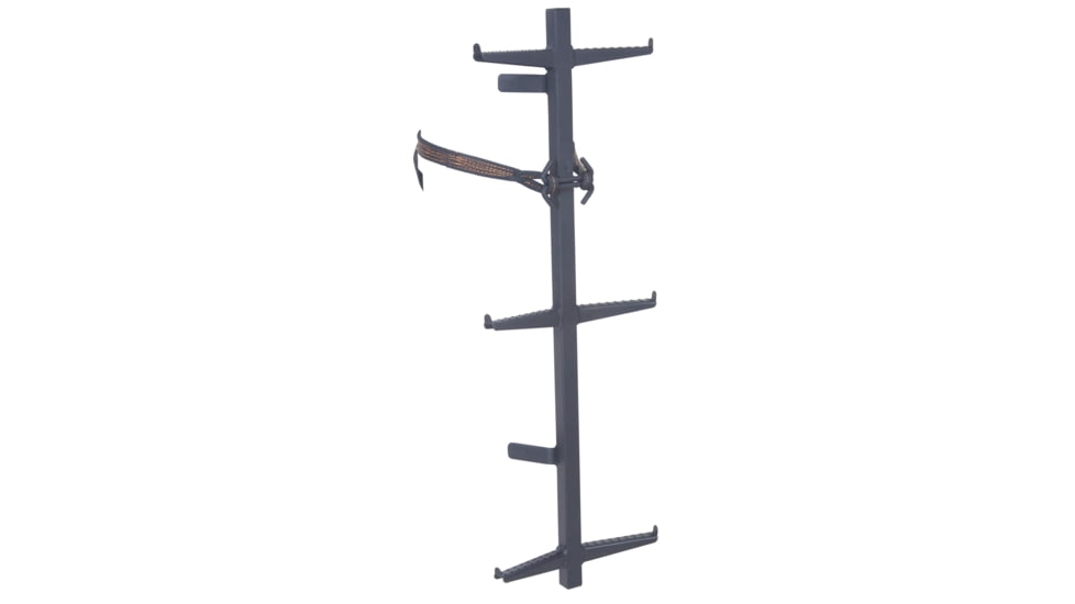 Millennium Hang On Ladder