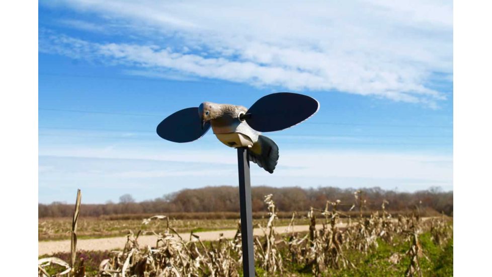 Mojo Elite Series Dove Decoy