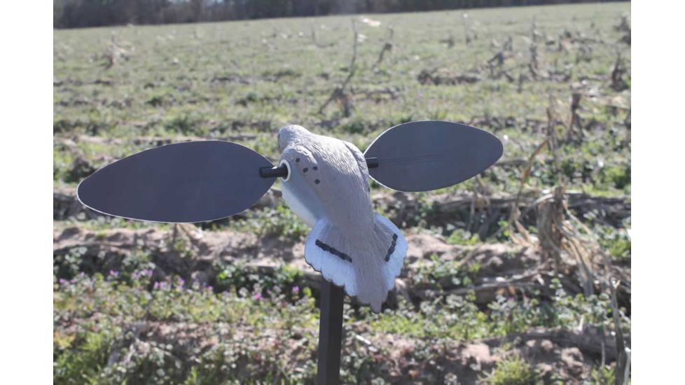 Mojo Elite Series Dove Decoy
