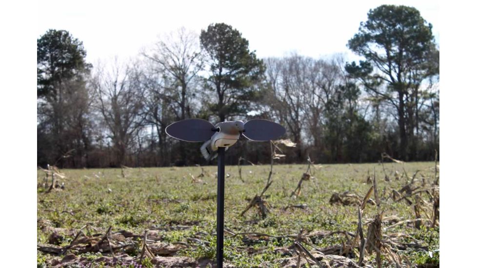 Mojo Elite Series Dove Decoy