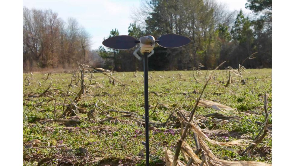 Mojo Elite Series Dove Decoy