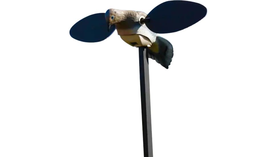 Mojo Elite Series Dove Decoy