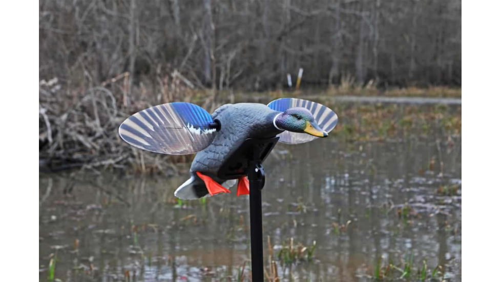 Mojo Elite Series Mini Mallard Drake Decoy HW24703P
