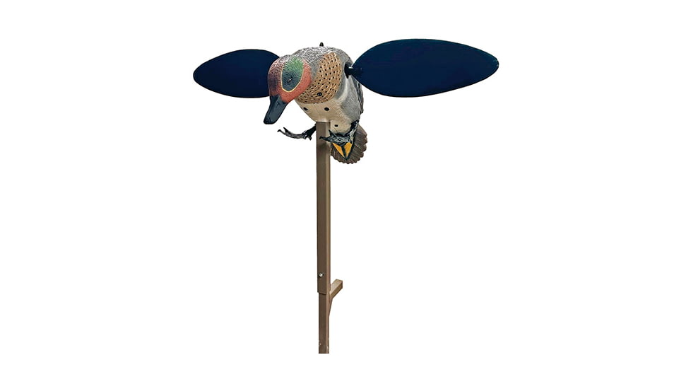 MOJO GREEN WING, HW2555