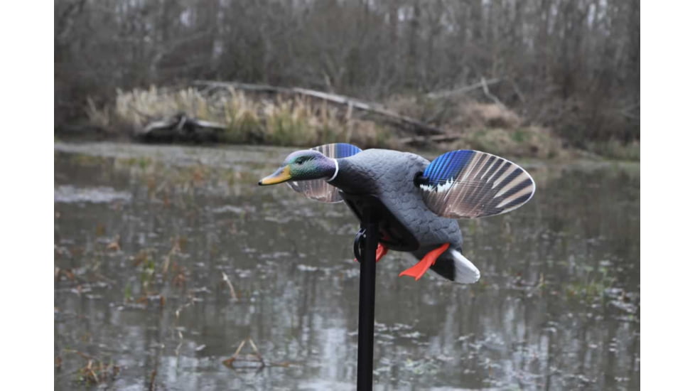 Mojo Mini Mallard Drake Decoy, Elite Series, HW2470