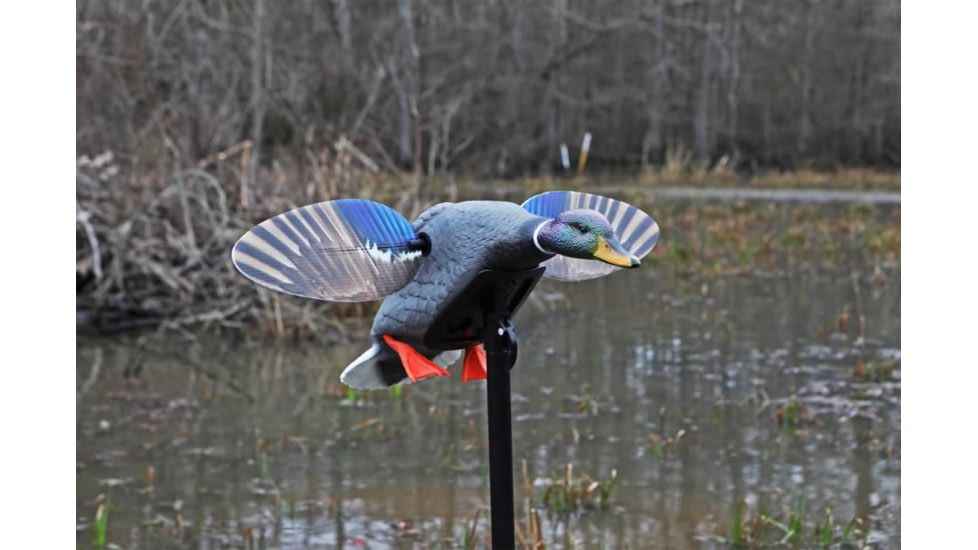 Mojo Mini Mallard Drake Decoy, Elite Series, HW2470