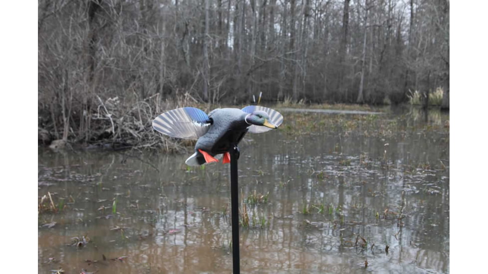 Mojo Mini Mallard Drake Decoy, Elite Series, HW2470