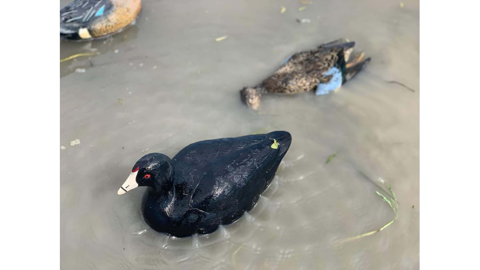 Mojo MOJO Coot Confidence Decoys
