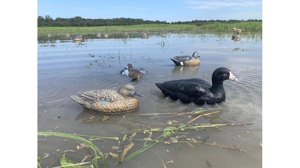 Mojo MOJO Coot Confidence Decoys