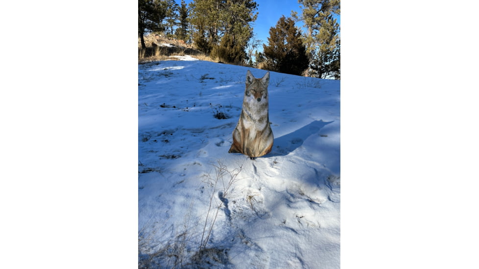 Montana Decoy Co. Sitting Coyote Decoy, Multi, 48