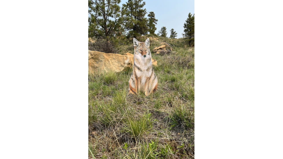 Montana Decoy Co. Sitting Coyote Decoy
