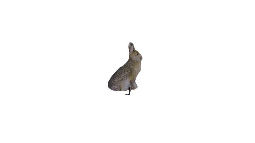 miss hoptober decoy