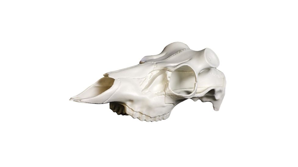 Mountain Mike's Skull Master, Universal Antler Mounting Kit MMR SM