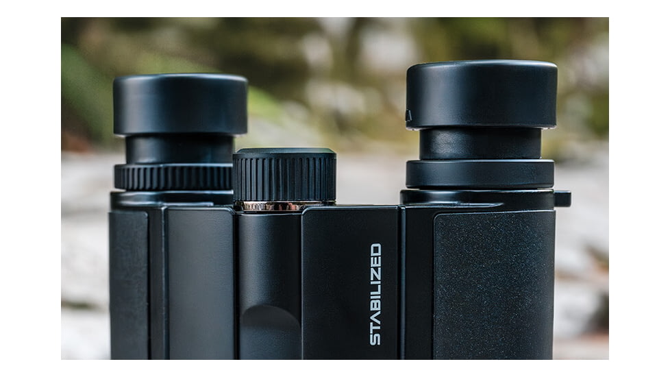 Nikon STABILIZED 10x25mm S Roof Prism Binoculars, Black, 16782