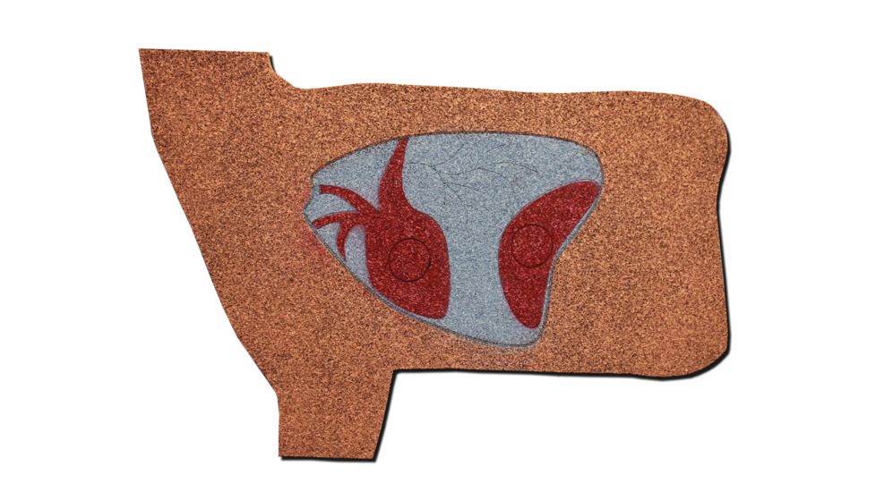 Oncore Targets Deer Vitals Self-Healing Archery Target, Brown/White/Grey/Red, Medium, D9