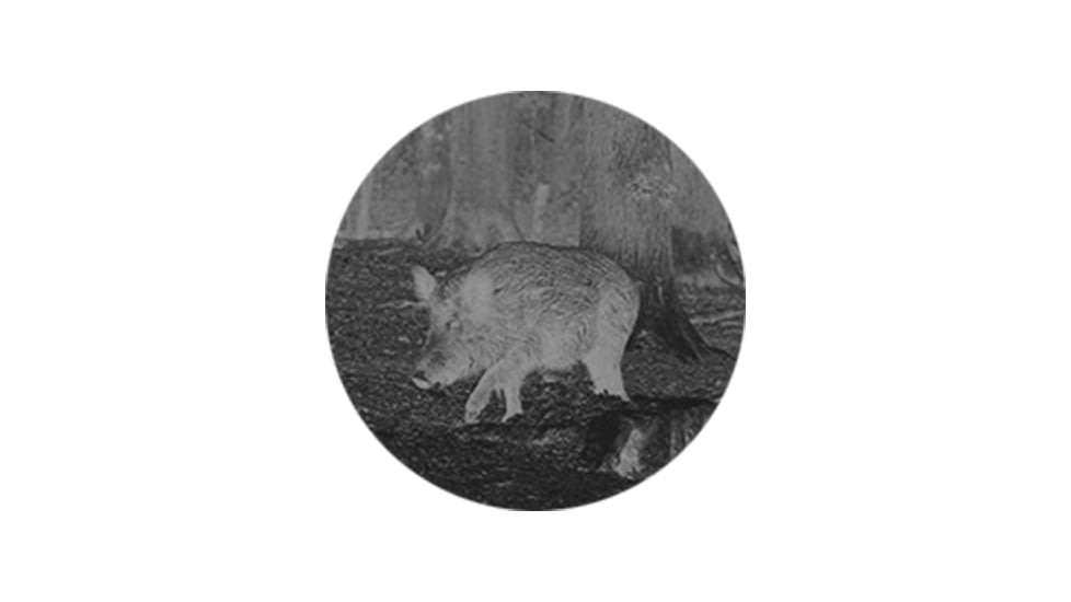 Owlset MCC10 Monocular