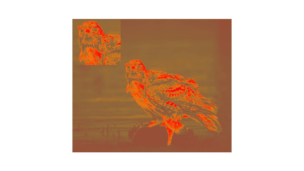 Owlset MCC10 Monocular