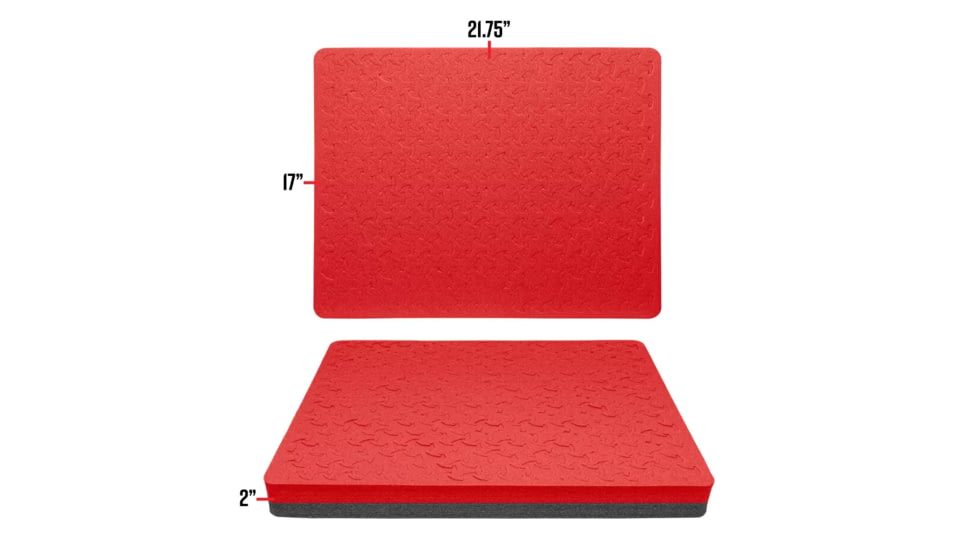 RAGAR RAGAR 21.75 in x 17 in Foam Insert For Hard Cases