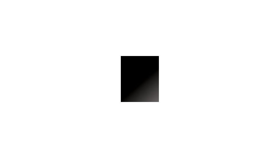 Safariland Hi Gloss Black Finish