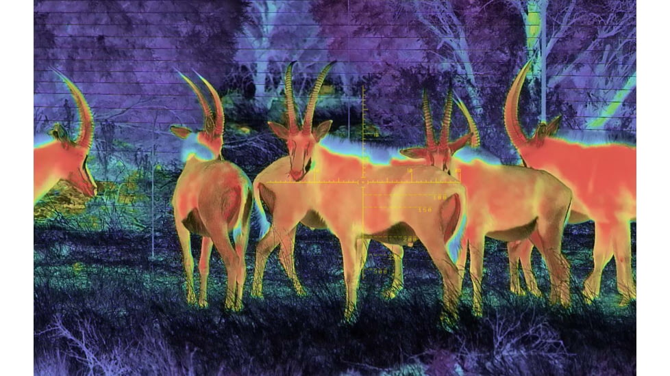 Shinenyx AIM101 384 5.2x48mm Thermal Imaging Rifle Scope, Black, AIM101