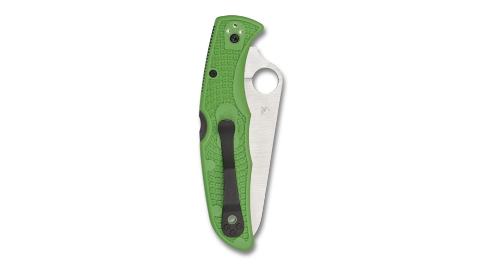 Spyderco Pacific Salt 2 Folding Knife, 3.78in, H-1, FRN, Spyder, Green, C91FSGR2