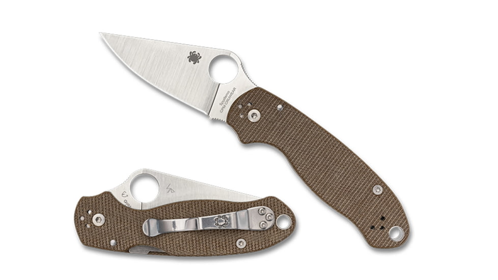 Para 3 Brown