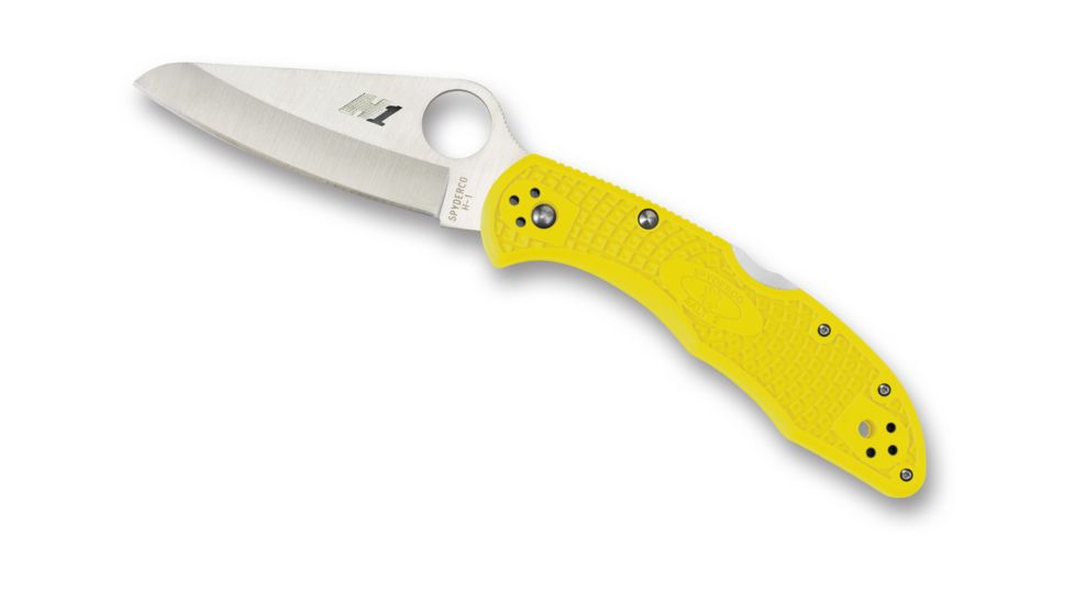 Spyderco Salt 2 Lockback Folding Knife, C88PYL2