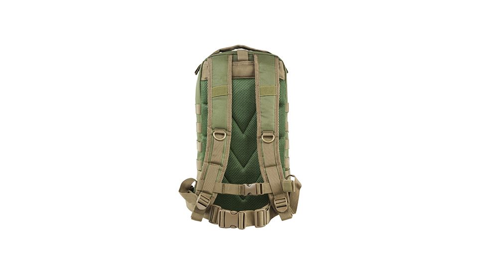 VISM Small Backpack, Green with Tan Trim CBSGT2949