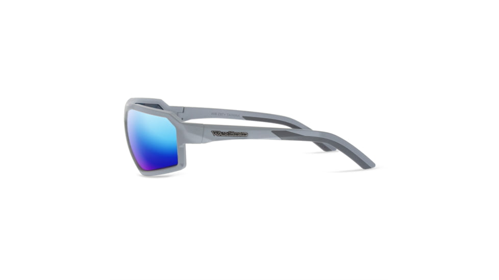 WarBird Sleeper Cell Glasses