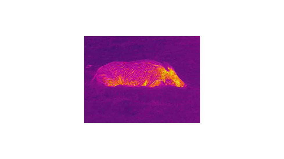 X-Vision XVT Thermal Monocular, Black, Small, TM1