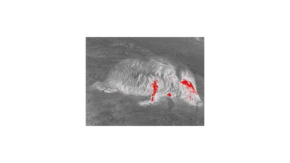 X-Vision XVT Thermal Monocular, Black, Small, TM1
