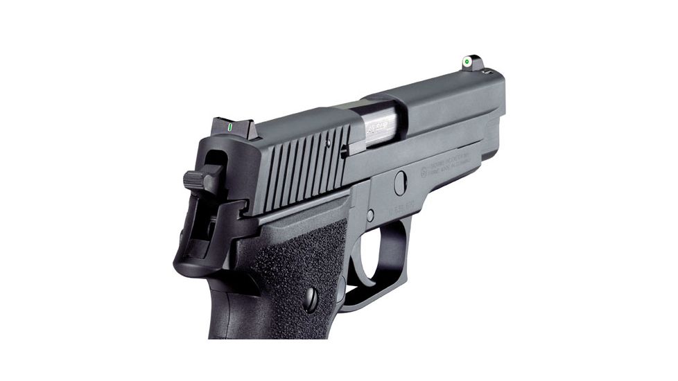 XS Sight Systems DXT Big Dot for Sig P225, P226, P228, P229, P320, Springfield XD, XDm &amp; XDs SI-0002S-5
