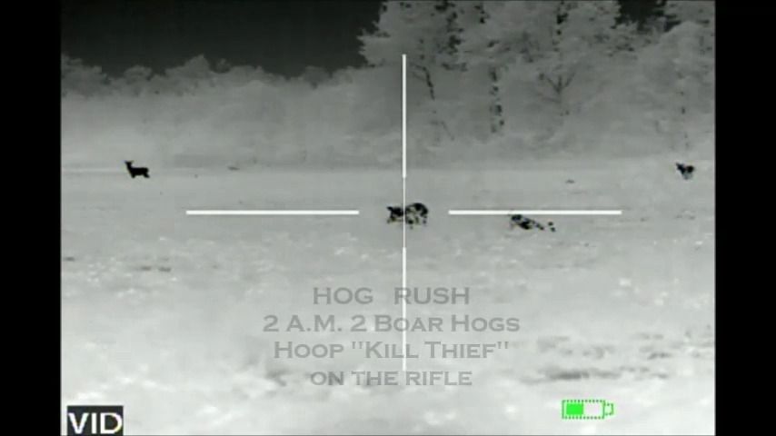opplanet atn hog rush 2 pigs video